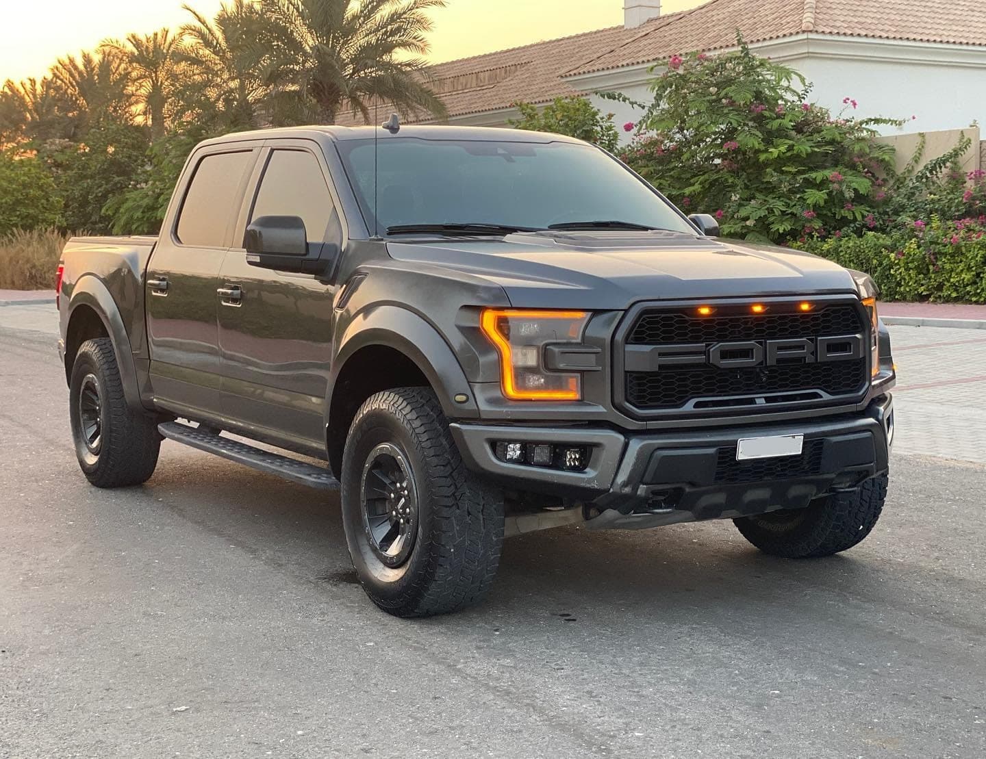 2019 Ford Raptor — الصورة 3 من 9