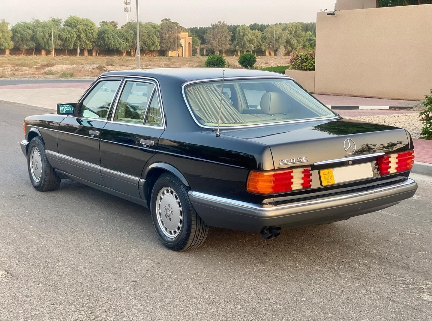 1989 Mercedes-Benz 260SE — الصورة 3 من 9