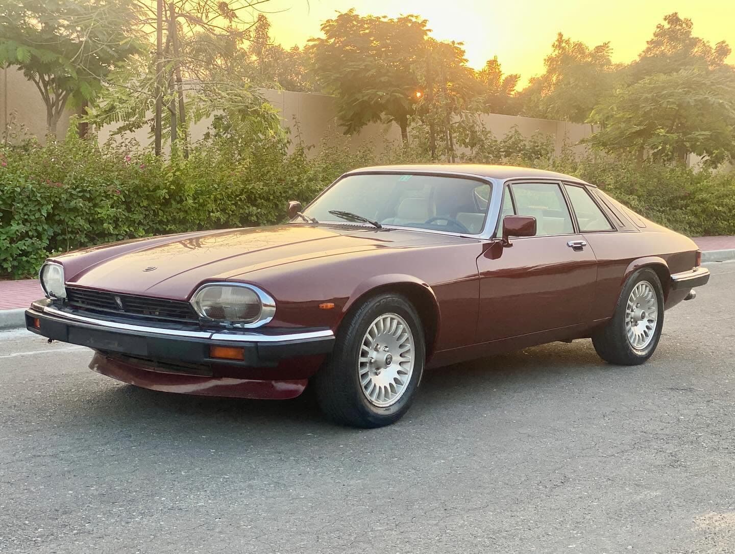 1984 Jaguar XJS V12 — الصورة 2 من 8