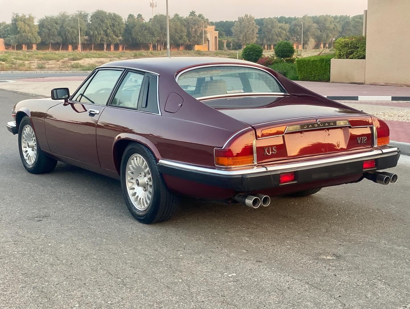 1984 Jaguar XJS V12 — الصورة 3 من 8