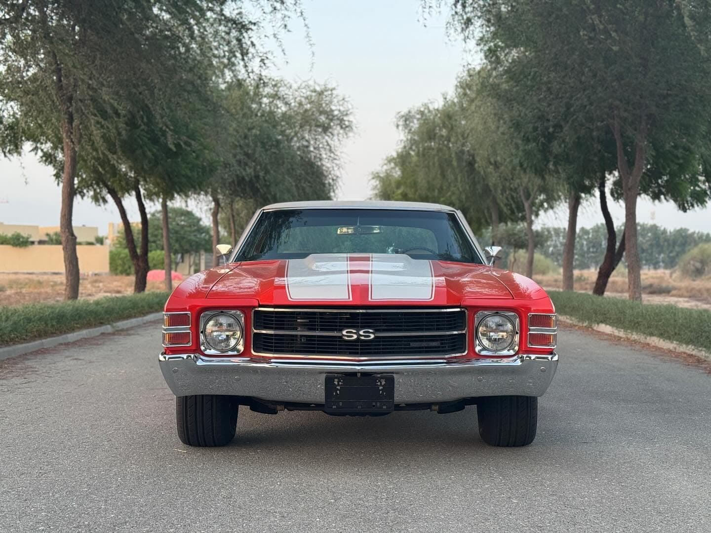 1971 Chevrolet Chevelle — الصورة 3 من 10