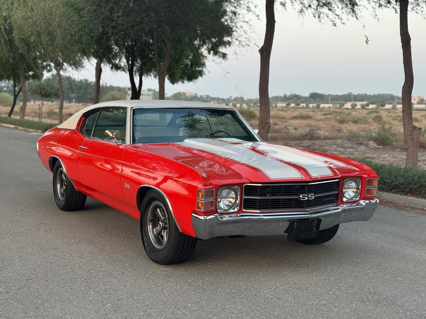 1971 Chevrolet Chevelle — الصورة 2 من 10