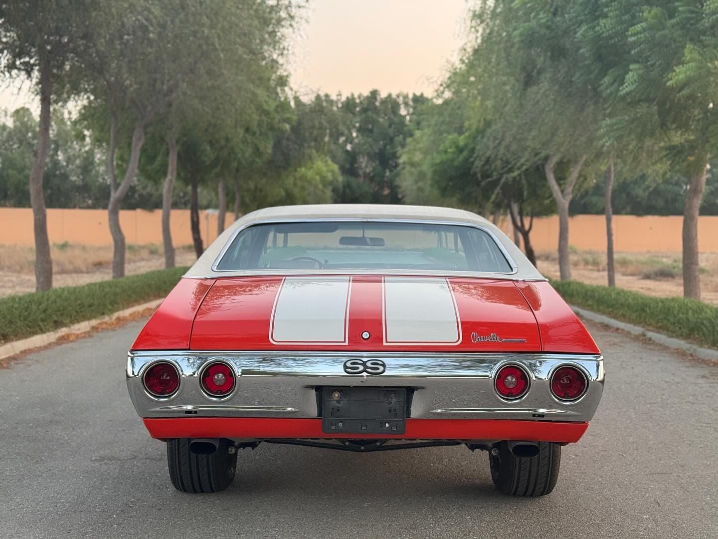 1971 Chevrolet Chevelle — الصورة 4 من 10