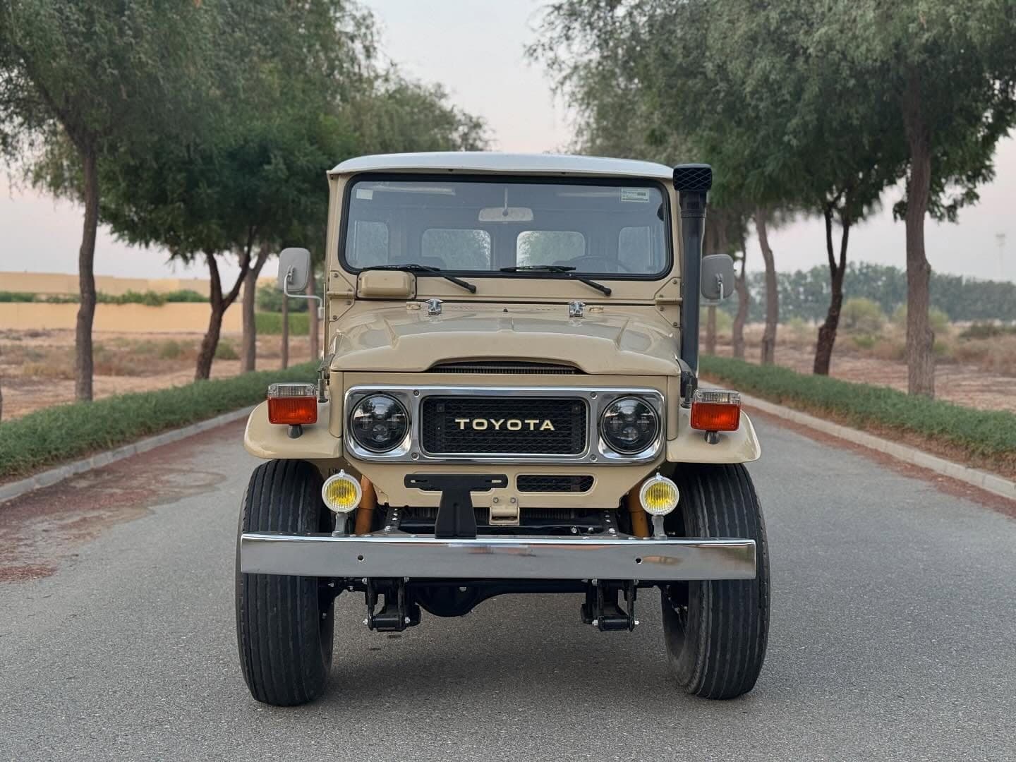 1980 Toyota Land Cruiser FJ40 1FZ engine — Photo 2 of 10