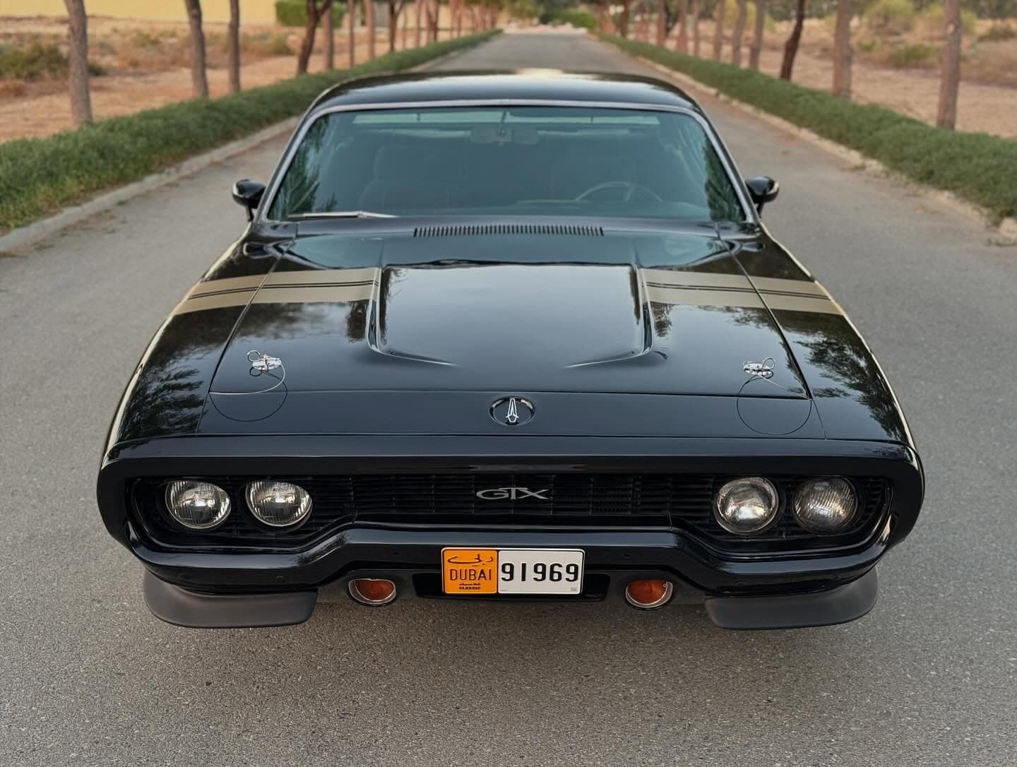 1971 Plymouth Other — الصورة 3 من 9