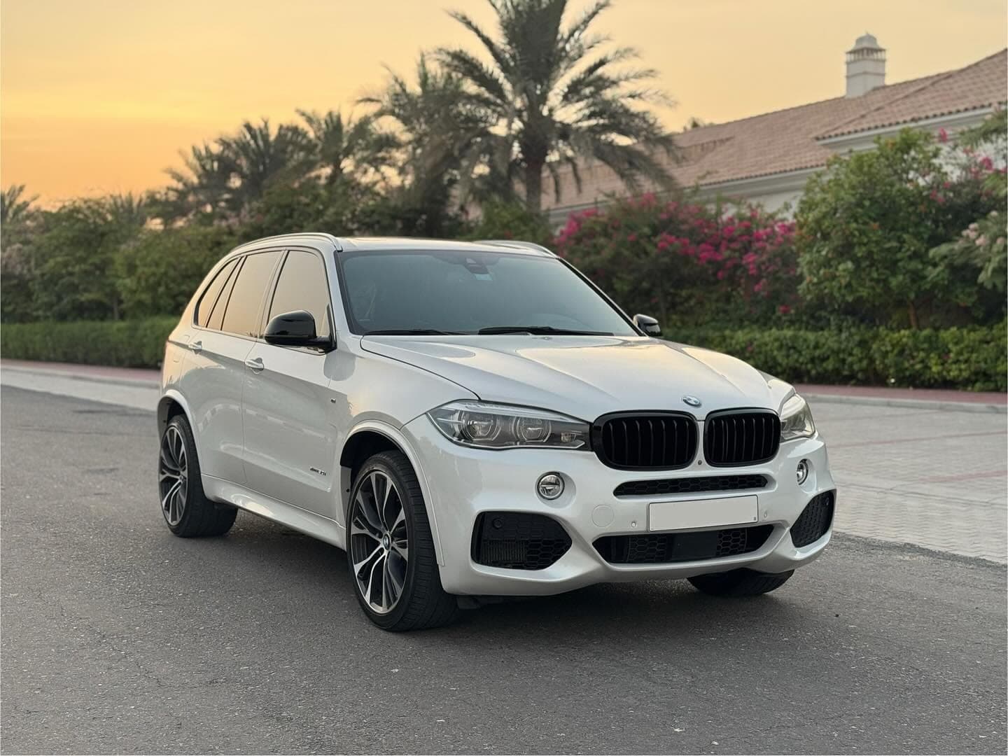 2018 BMW X5 Twin Turbo — الصورة 2 من 13