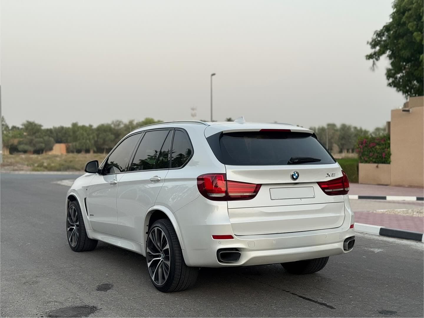 2018 BMW X5 Twin Turbo — الصورة 4 من 13