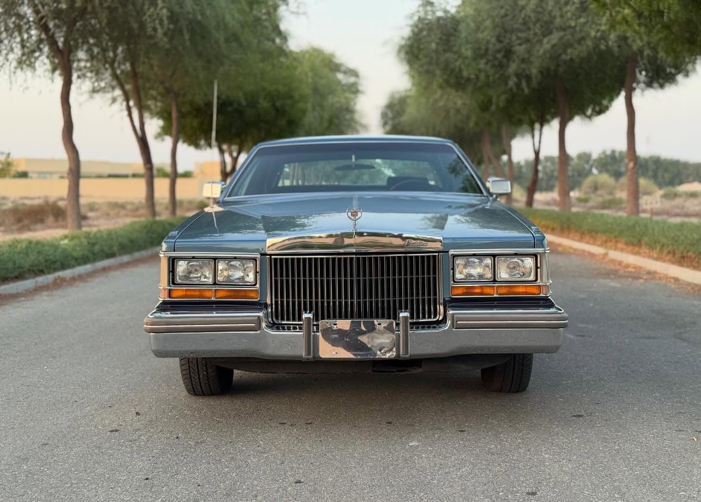 1981 Cadillac Seville Elegante — الصورة 2 من 14