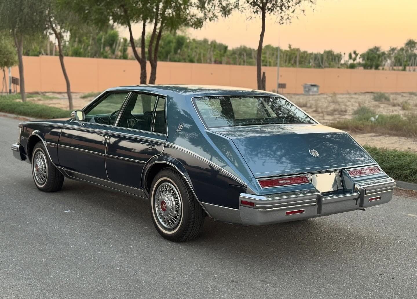 1981 Cadillac Seville Elegante — الصورة 4 من 14