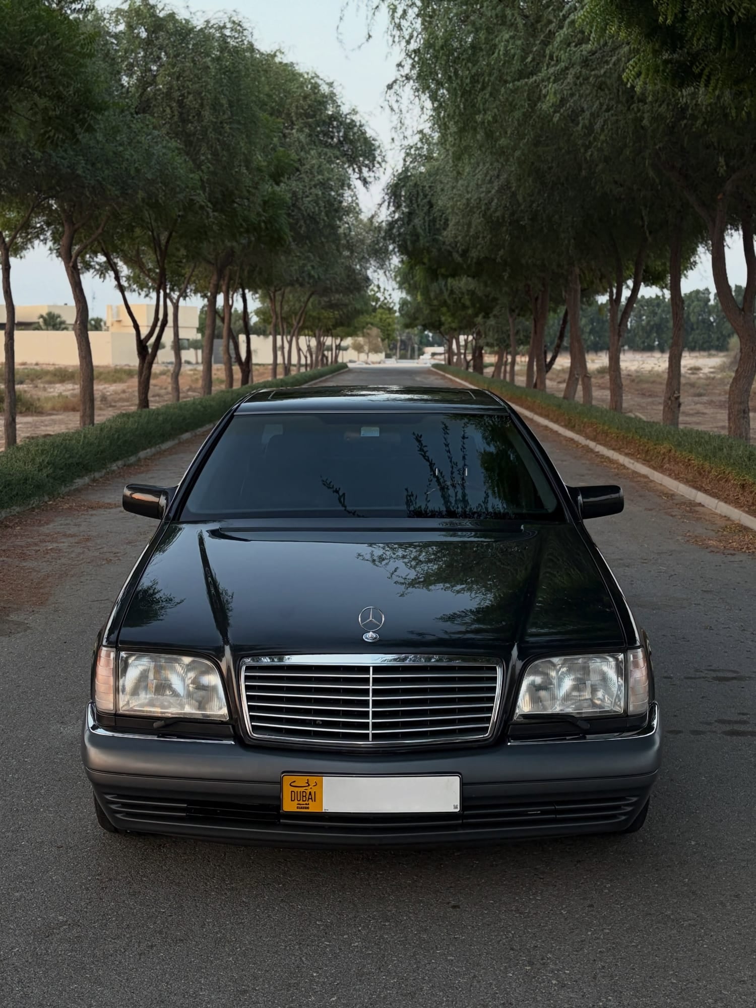 1995 Mercedes-Benz S600L — الصورة 3 من 15