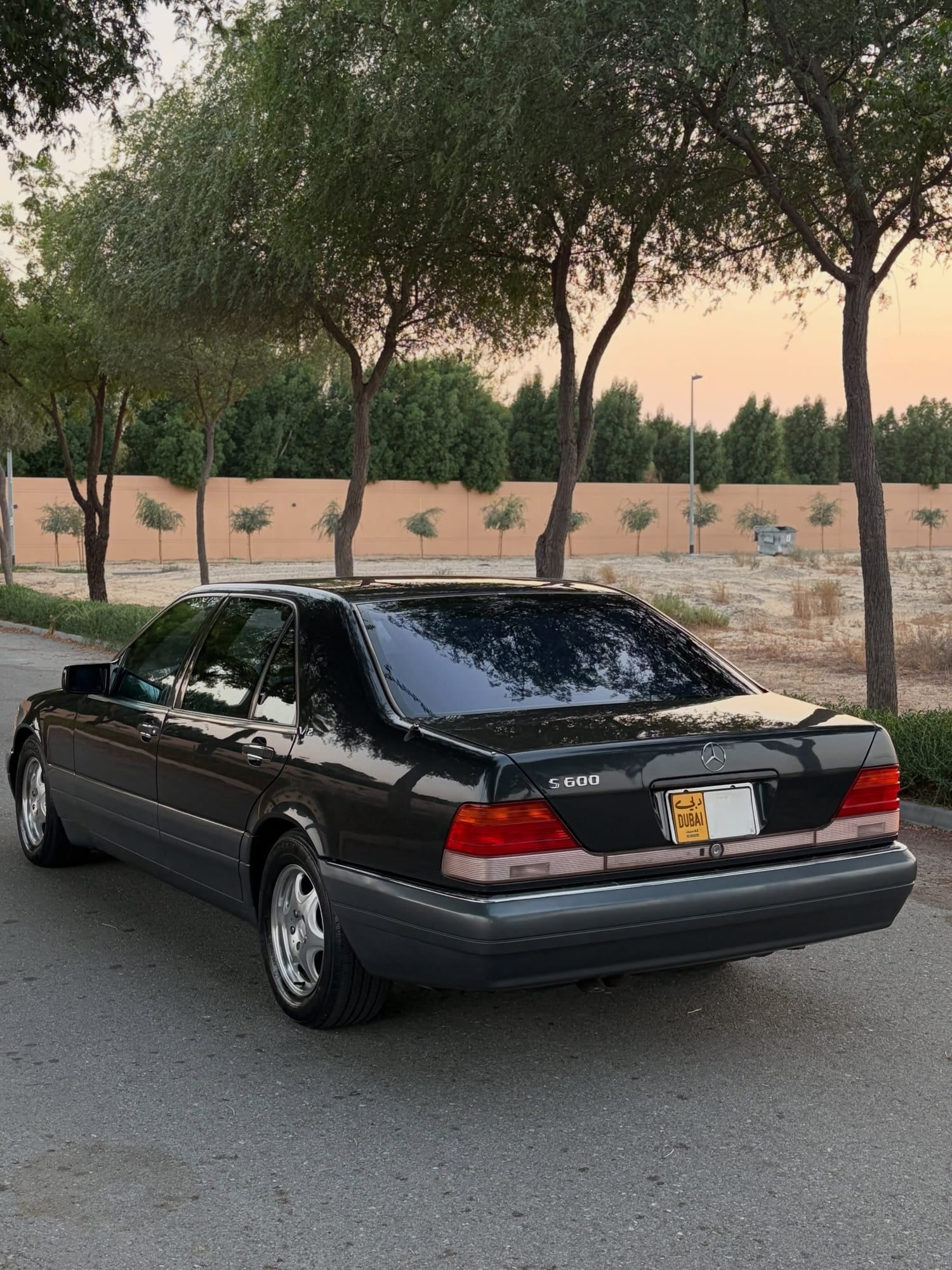 1995 Mercedes-Benz S600L — الصورة 4 من 15