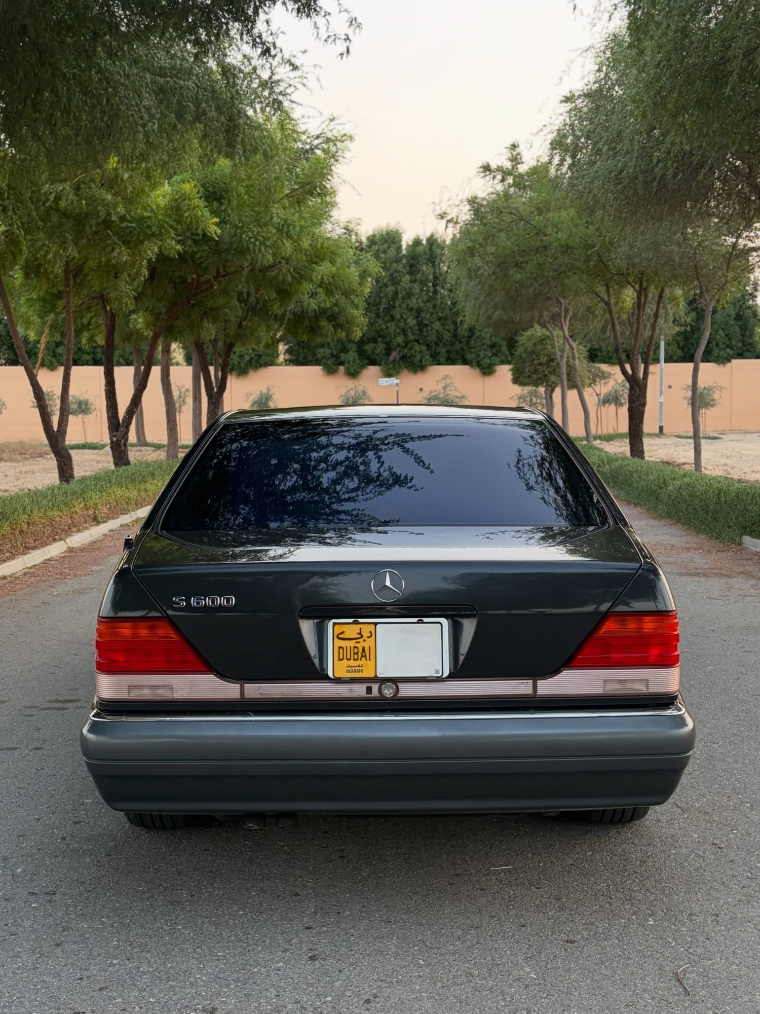 1995 Mercedes-Benz S600L — الصورة 5 من 15