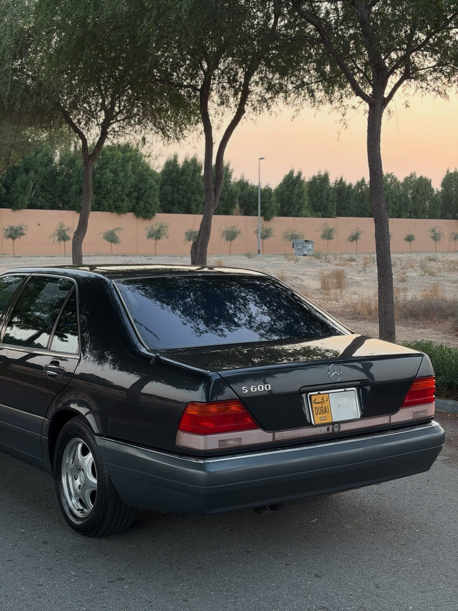1995 Mercedes-Benz S600L — الصورة 6 من 15