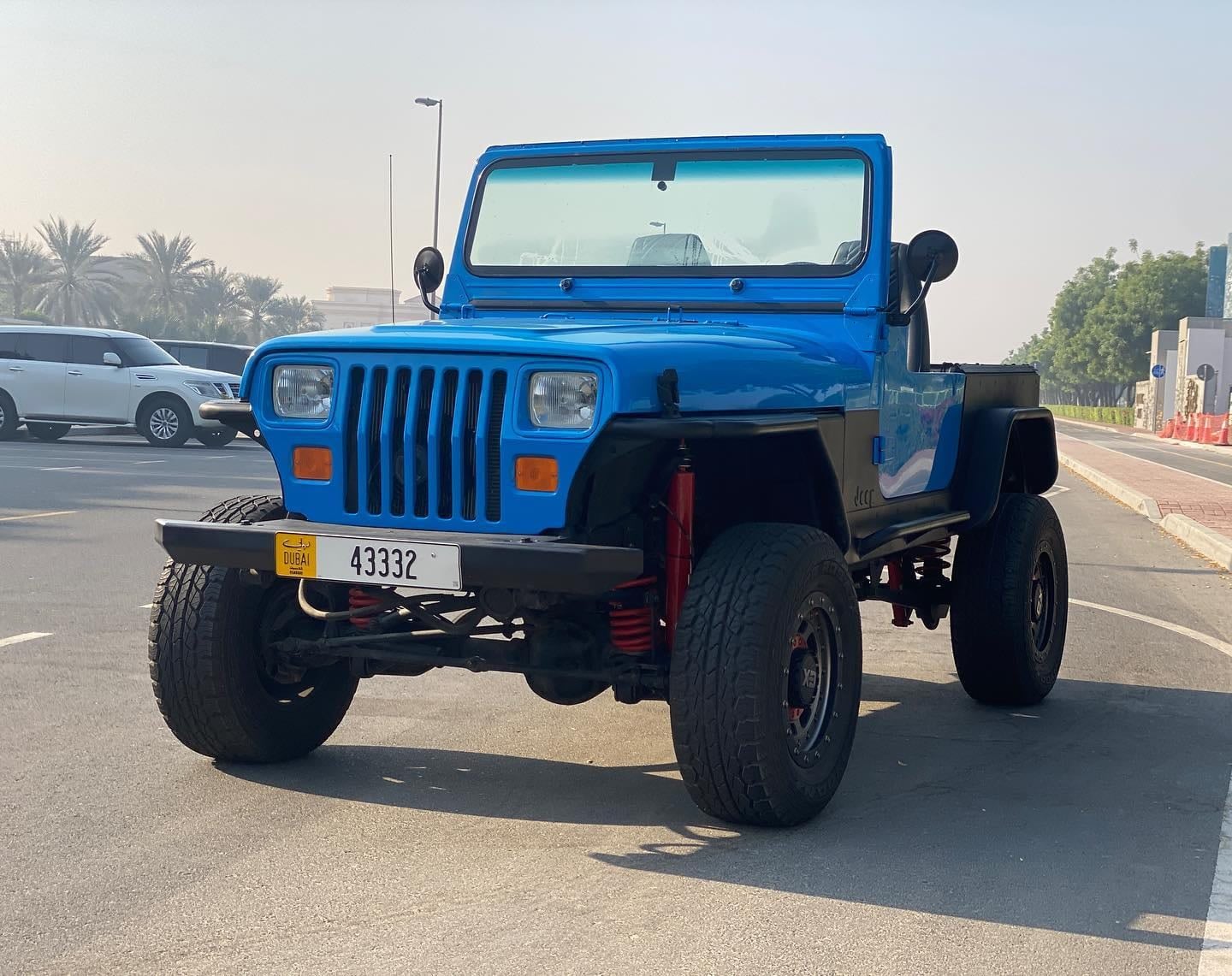 1991 Jeep Wrangler Custom V8 5.3 — الصورة 3 من 9