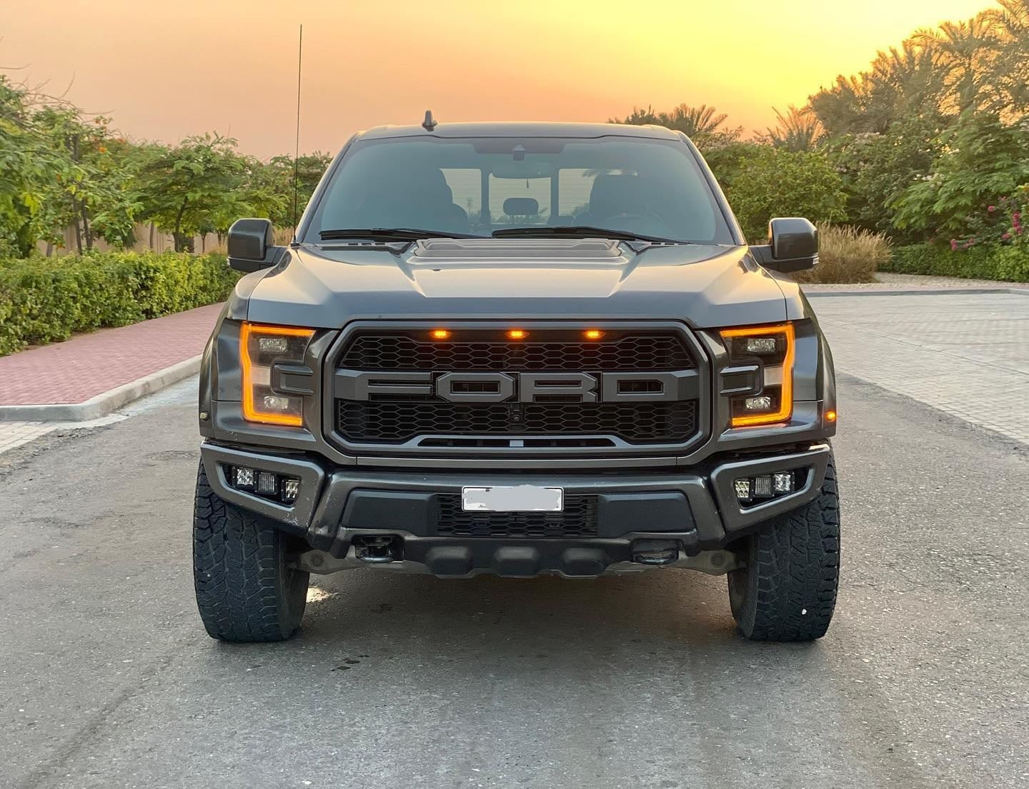 2019 Ford Raptor — الصورة 2 من 9