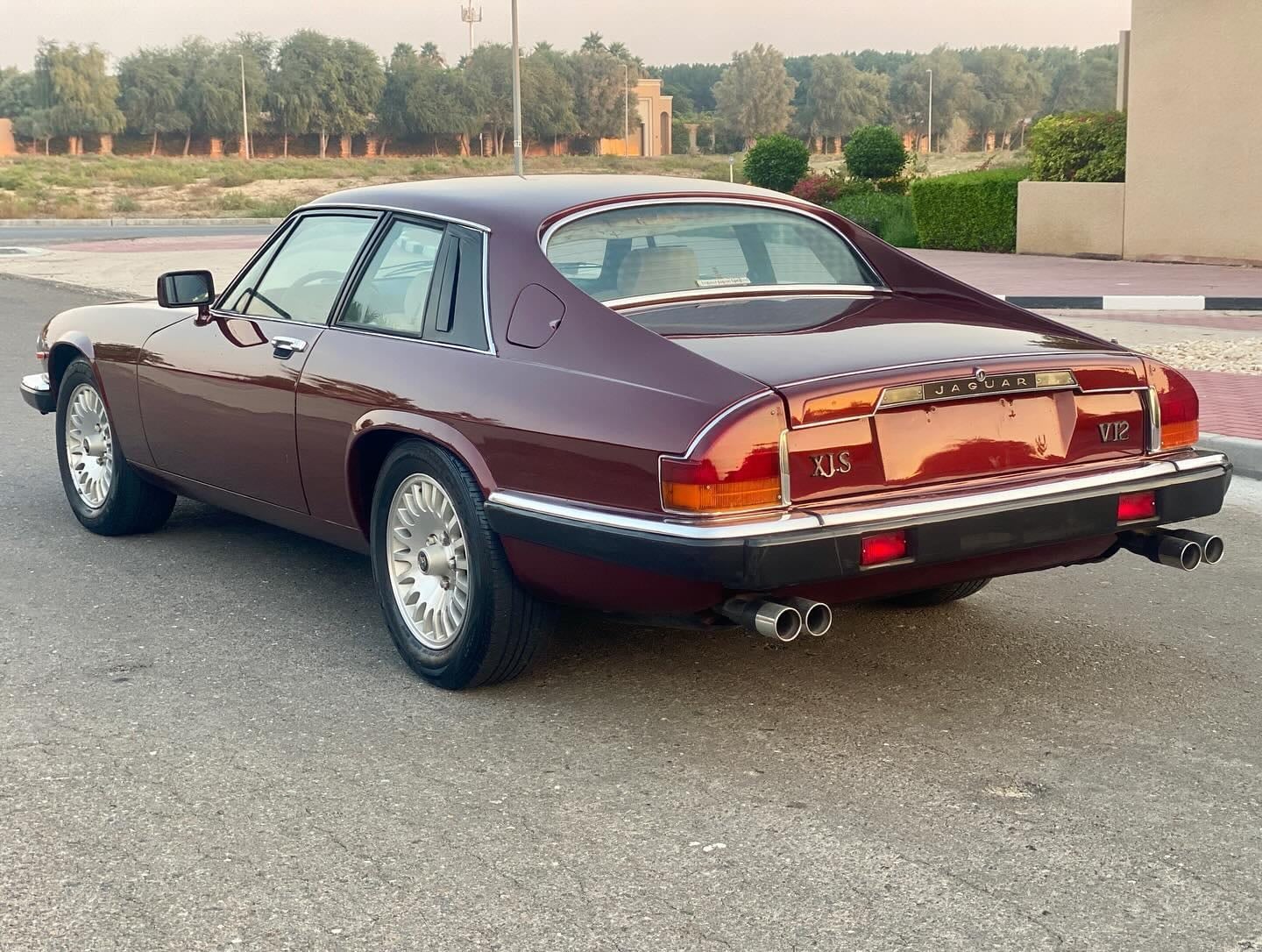 1984 Jaguar XJS V12 — الصورة 3 من 8