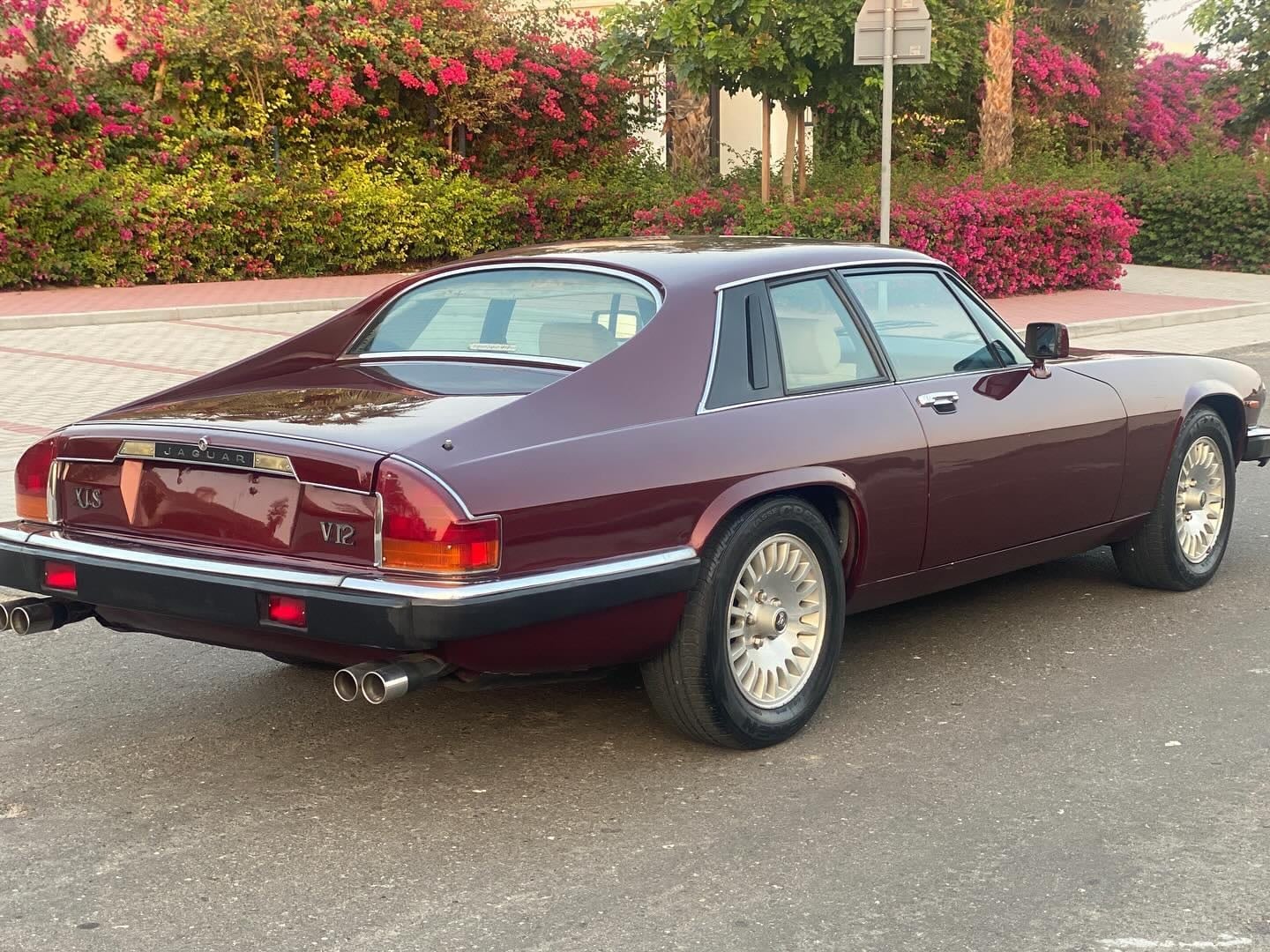 1984 Jaguar XJS V12 — الصورة 4 من 8