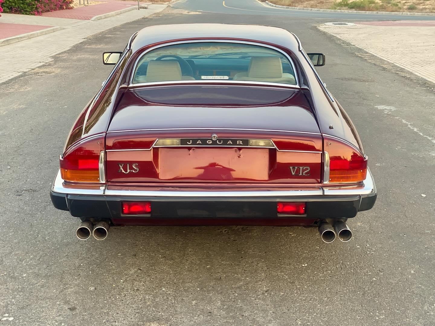 1984 Jaguar XJS V12 — الصورة 5 من 8