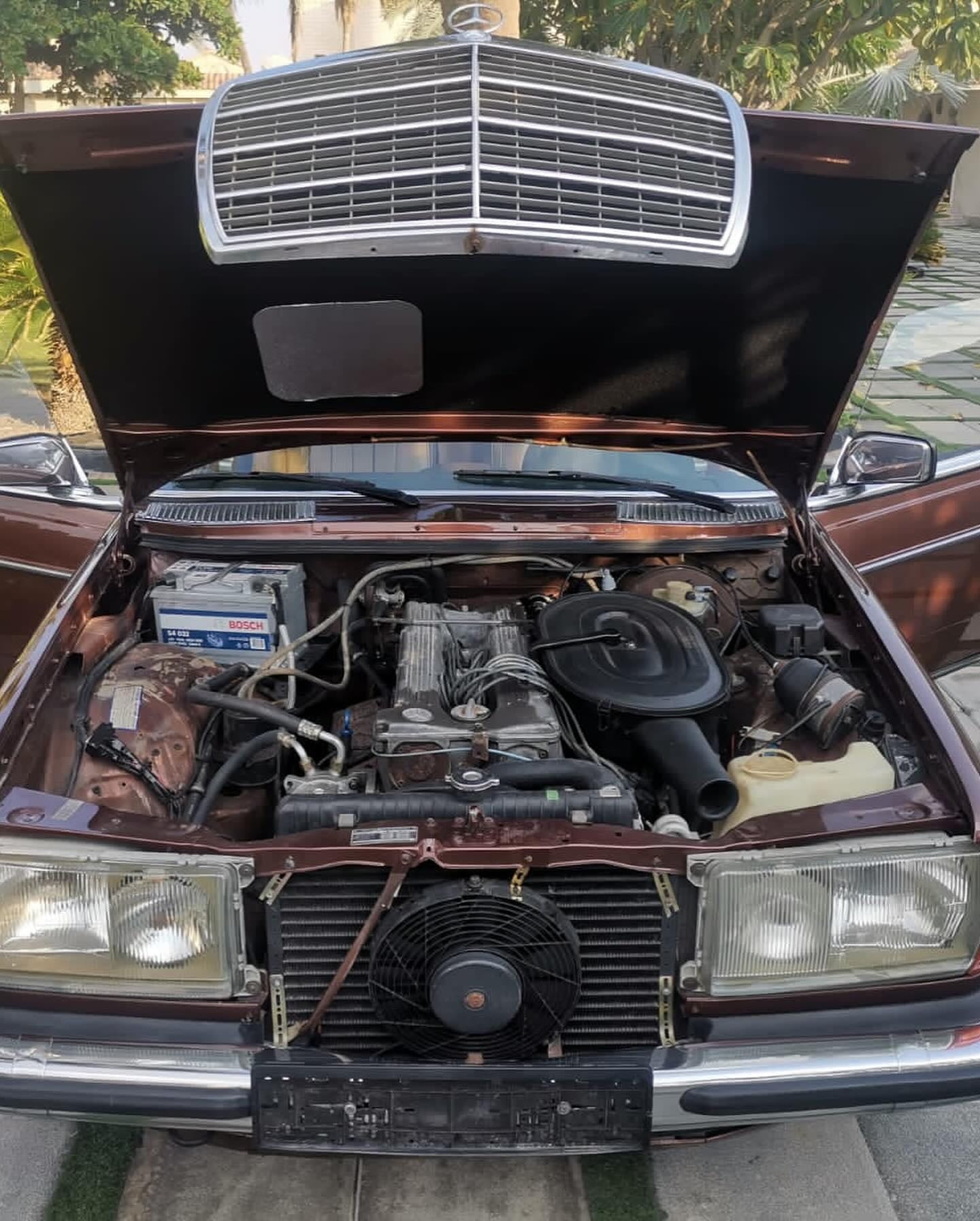 1980 Mercedes-Benz 280CE — الصورة 7 من 7