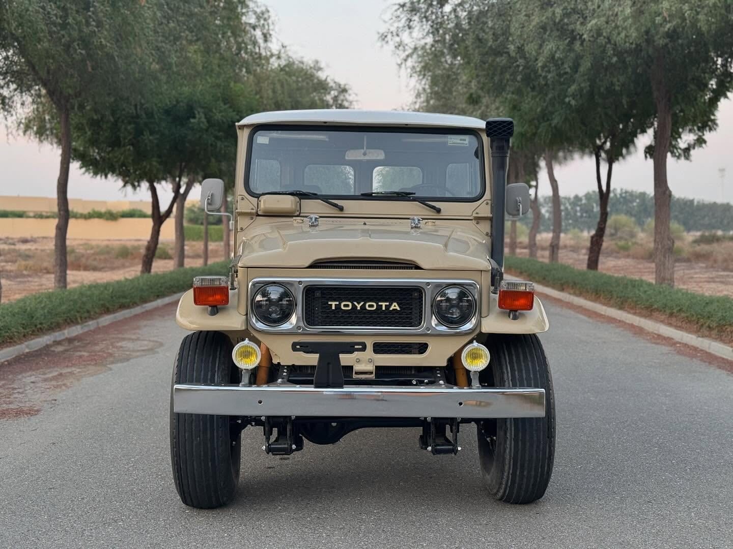 1980 Toyota Land Cruiser FJ40 1FZ engine — Photo 2 of 10