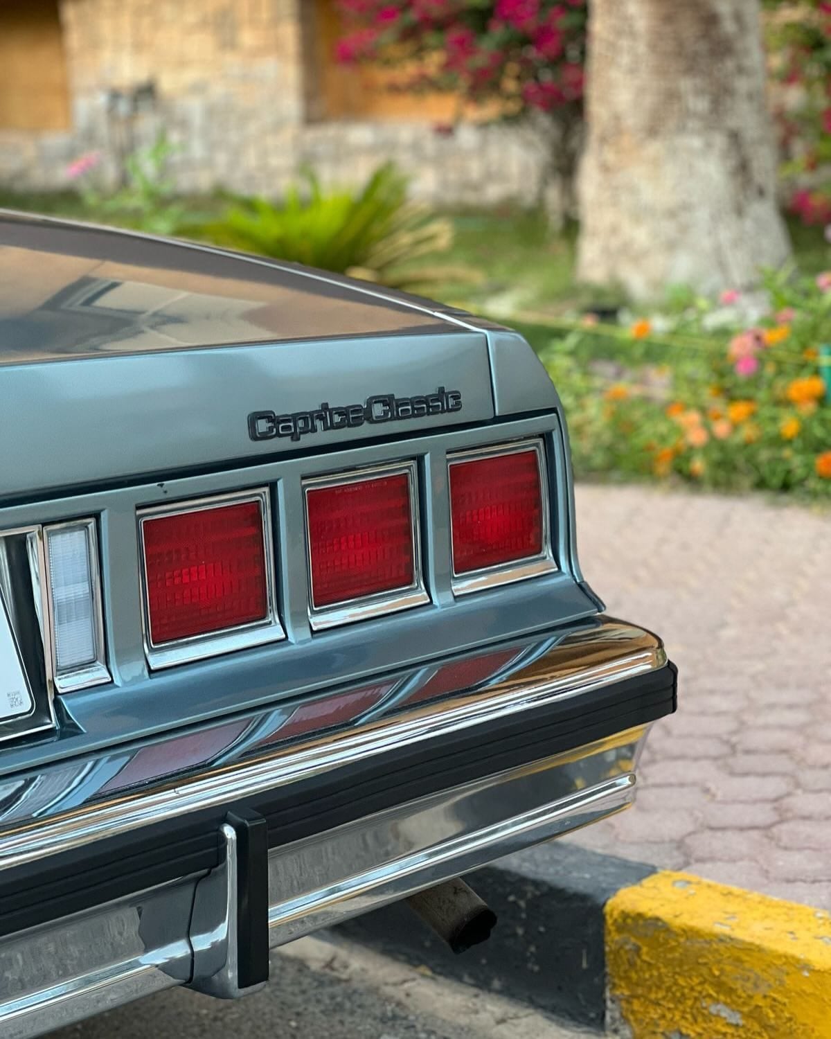 1985 Chevrolet Caprice Police — الصورة 3 من 5