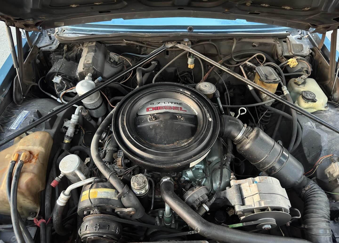 1981 Cadillac Seville Elegante — الصورة 13 من 14