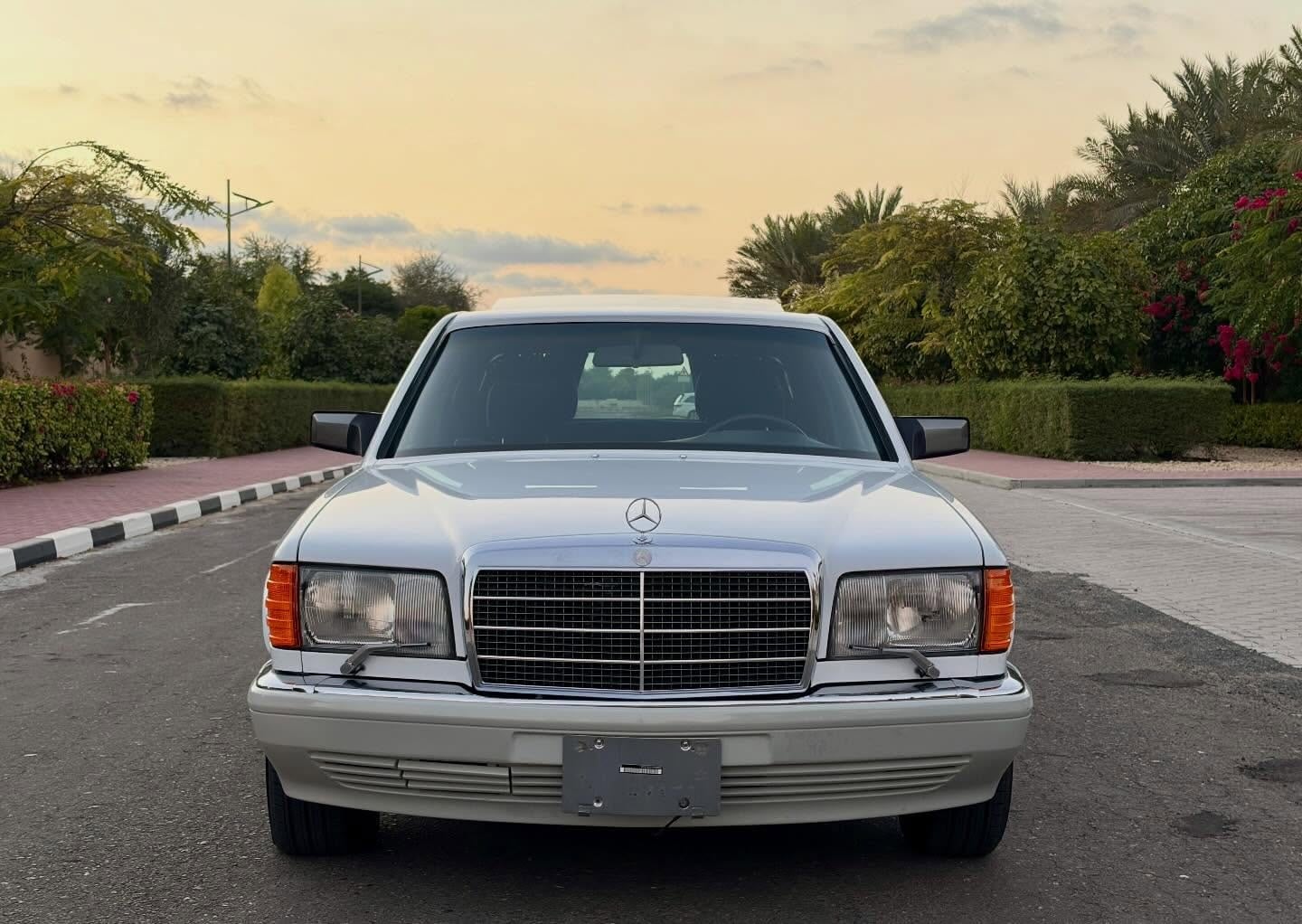 1989 Mercedes-Benz 560SEL — الصورة 2 من 14
